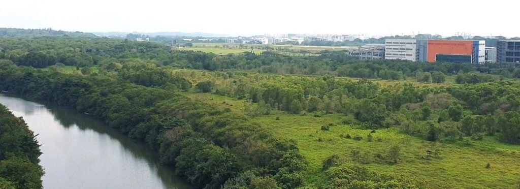 Greenery view from river facing condo blocks at Rio Vista